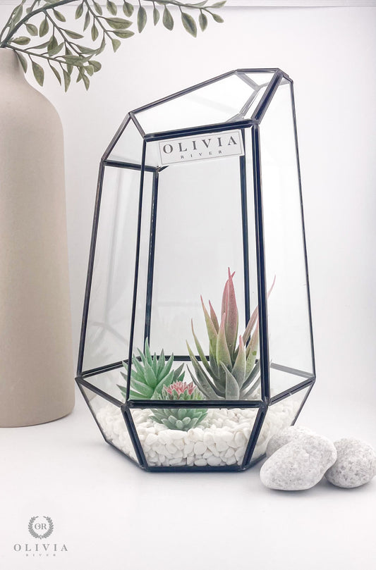 Enchanting Terrariums: Transforming Spaces with Nature's Miniature Worlds