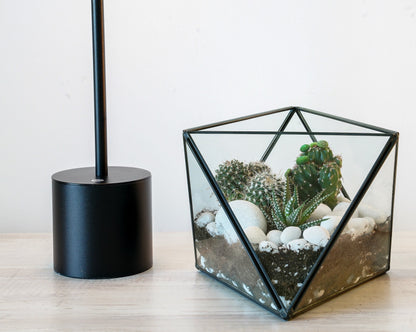 Signature 5-Layer Living Terrarium