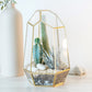 Signature 5-Layer Living Terrarium