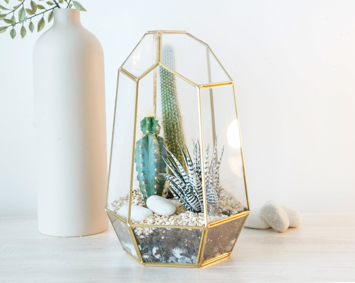 Signature 5-Layer Living Terrarium