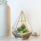 Signature 5-Layer Living Terrarium