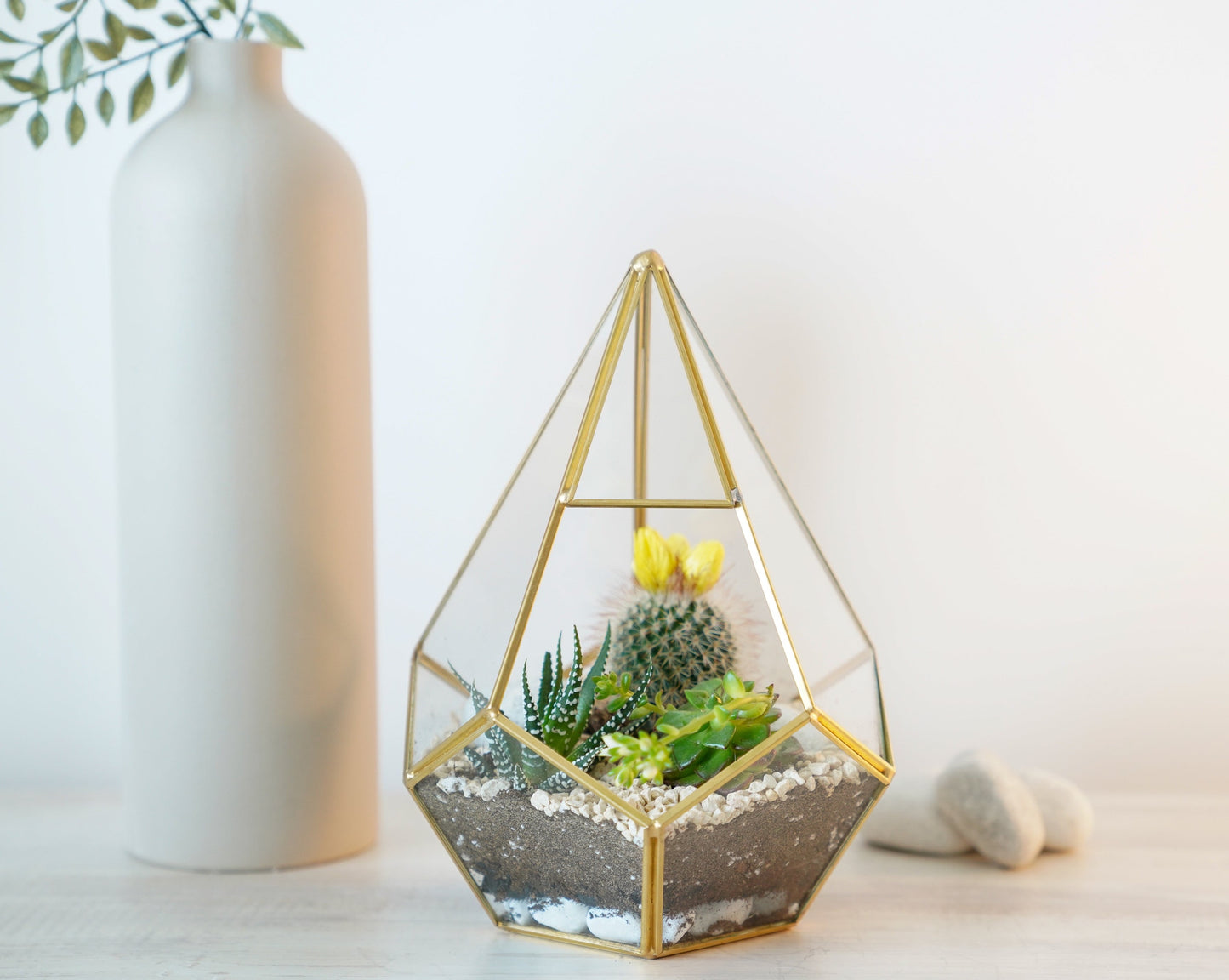 Signature 5-Layer Living Terrarium