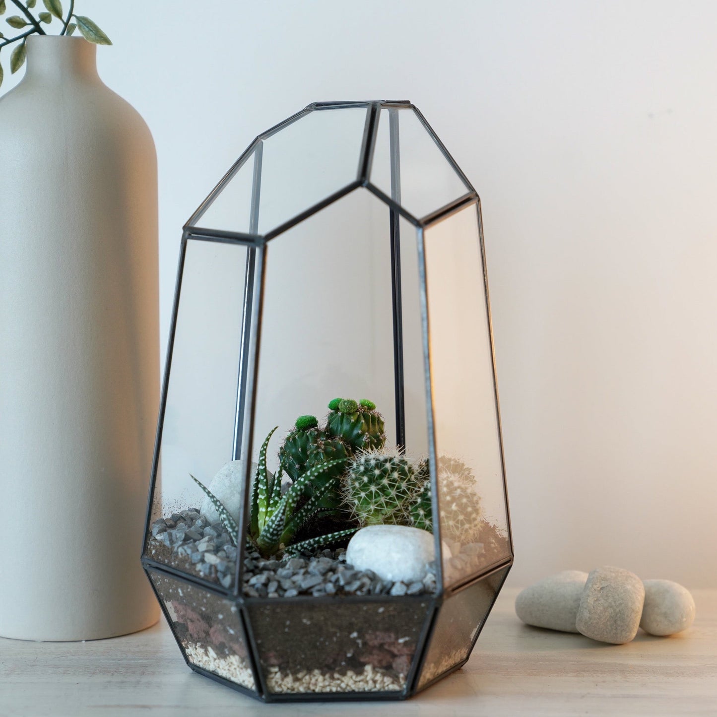 Signature 5-Layer Living Terrarium