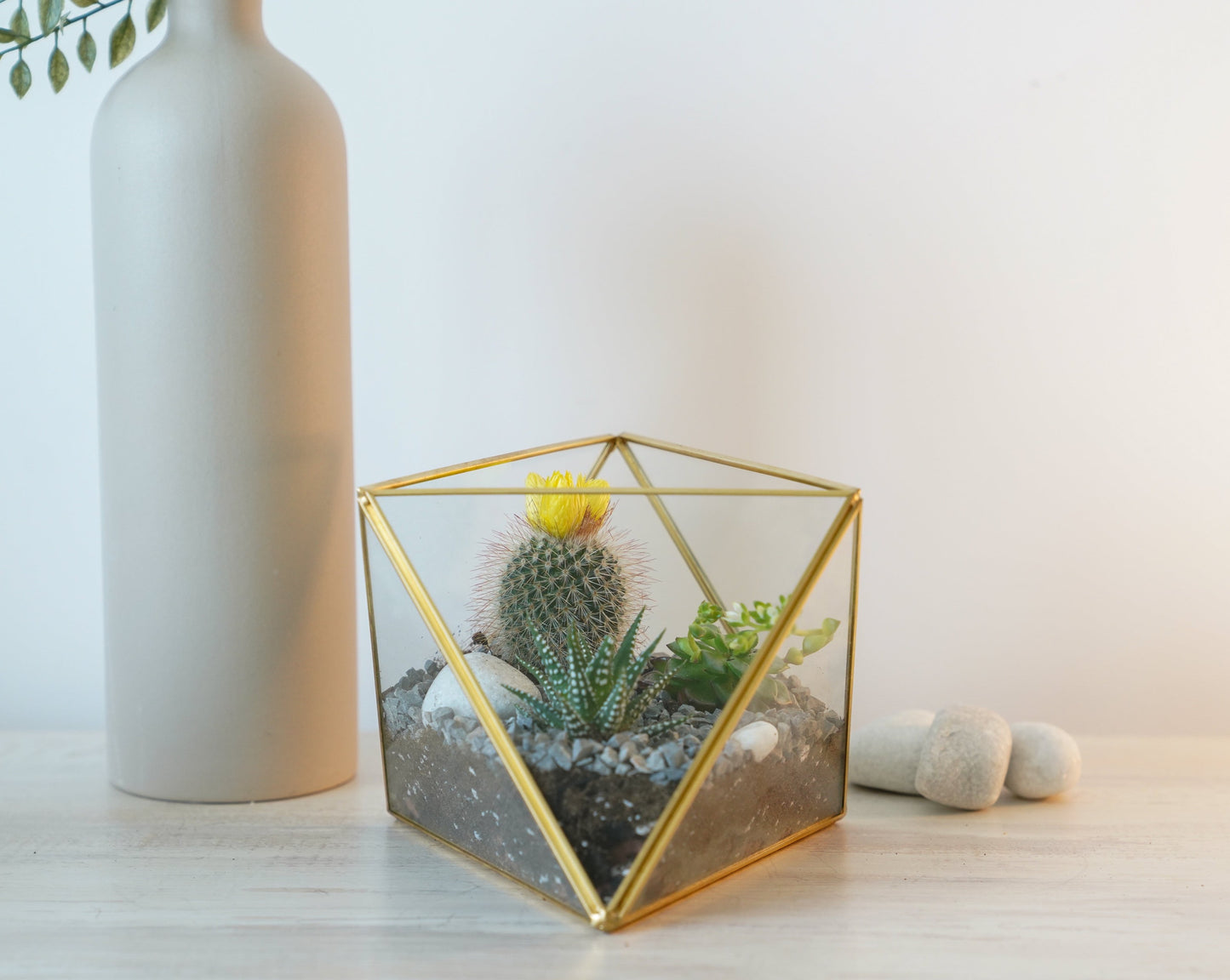 Signature 5-Layer Living Terrarium