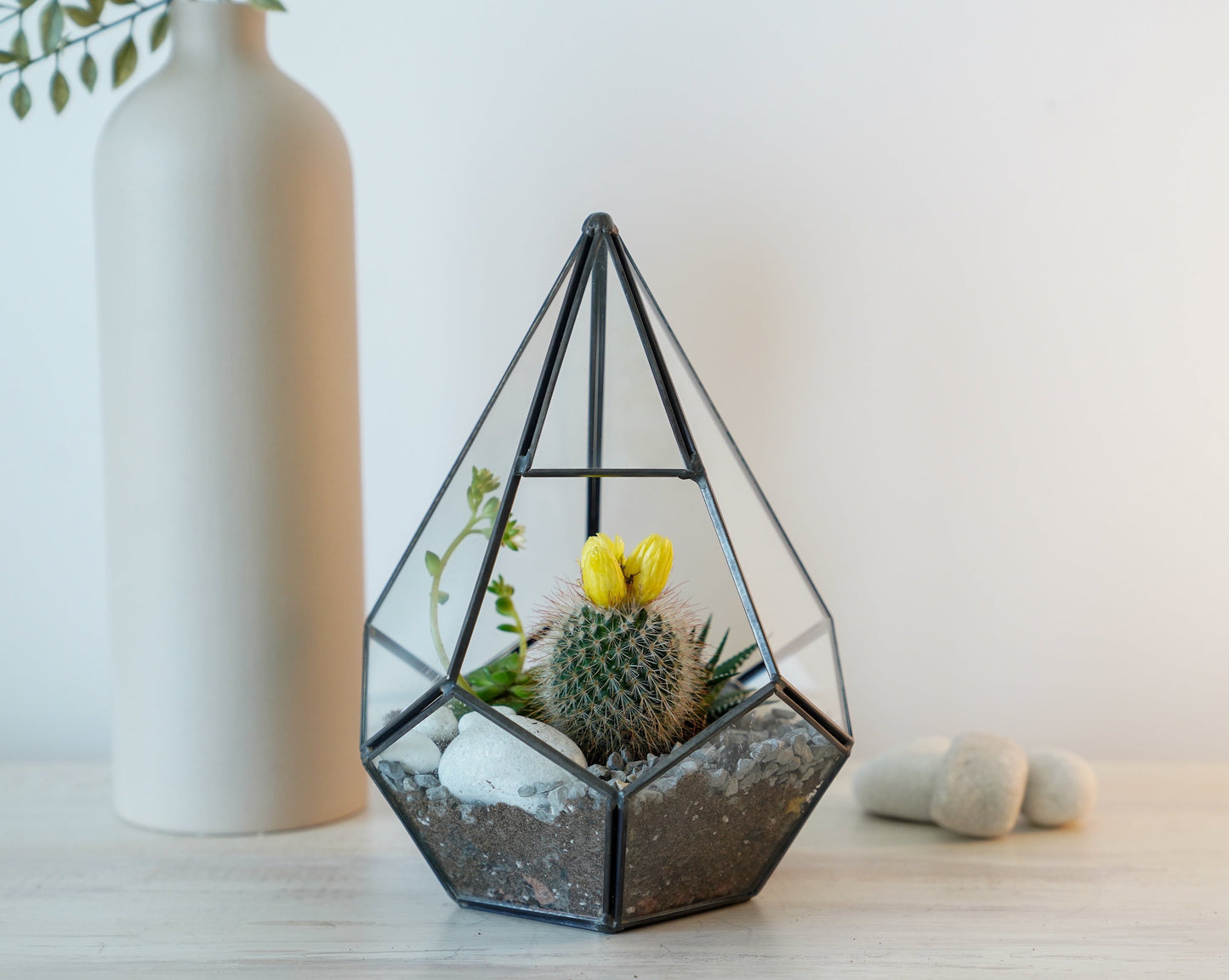 Signature 5-Layer Living Terrarium