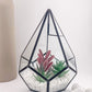 Medium Faux Succulent Glass Table Decoration