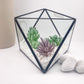 Small Table Decoration Geometric Glass Terrarium