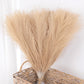 Artificial Pampas Grass